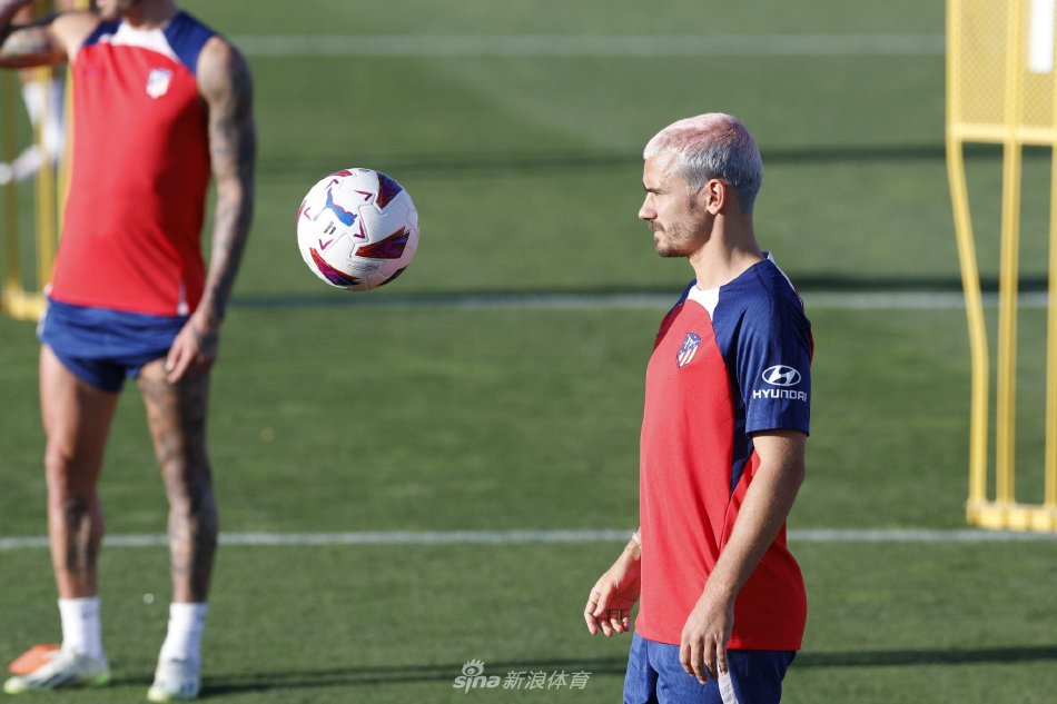 间内理顺战 间内理顺战