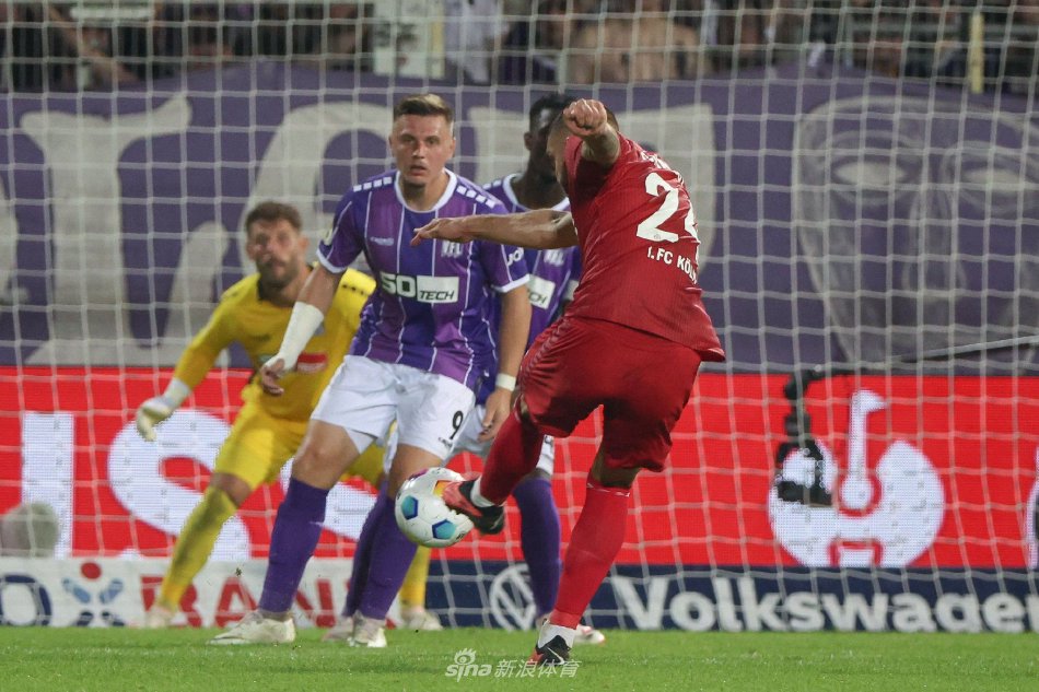 何引关注 何引关注