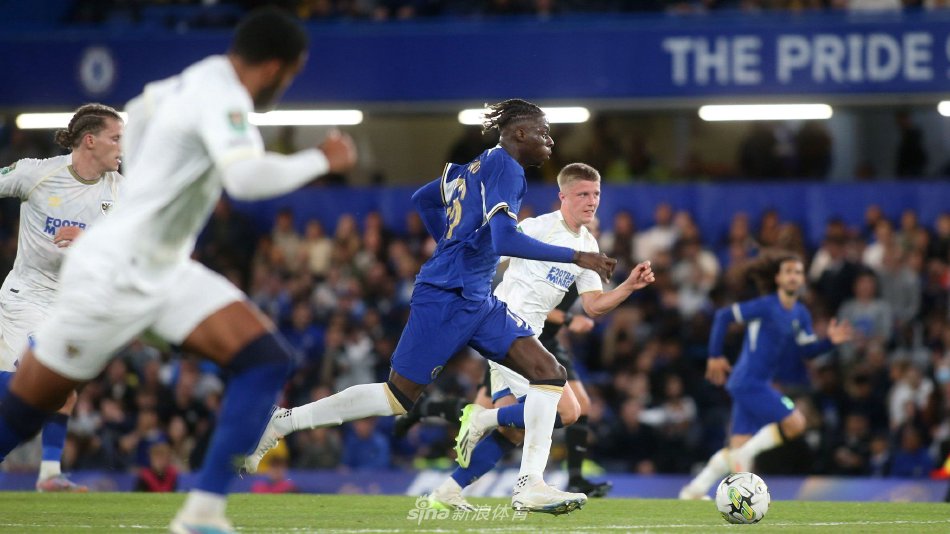 力培养的年 力培养的年